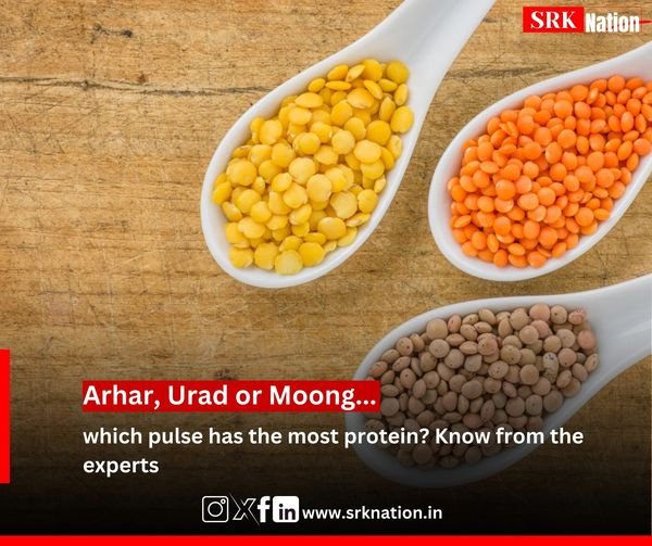 Arhar, Urad or Moong… which pulse has the most protein? Know from the experts