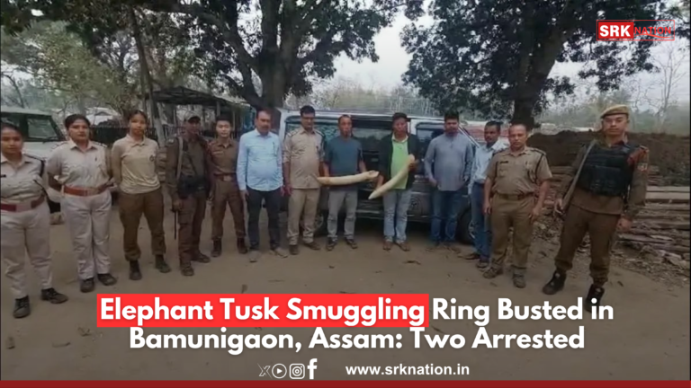 Elephant Tusk Smuggling Ring Busted in Bamunigaon, Assam: Two Arrested
