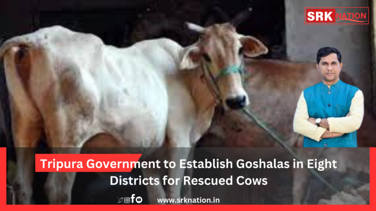 Tripura Government to Establish Goshalas in Eight Districts for Rescued Cows