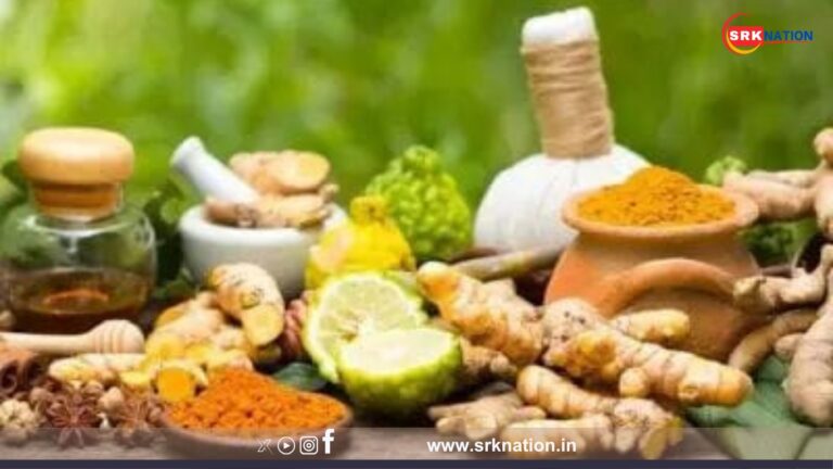 Centre Declares September 23 as National Ayurveda Day: Here’s Why It Matters