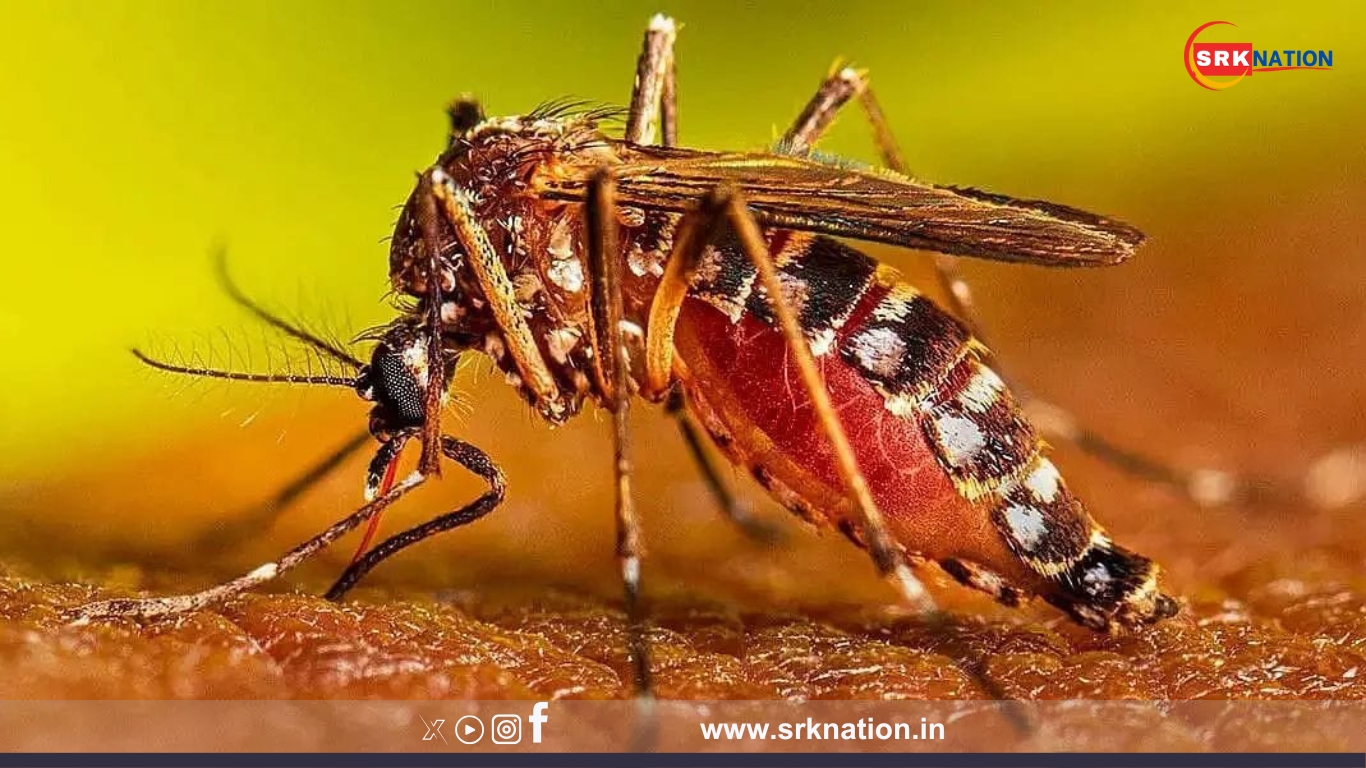 Malaria Case in SSB Jawan Triggers Health Alert in Baksa’s Salbari