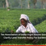 Tea Association of India