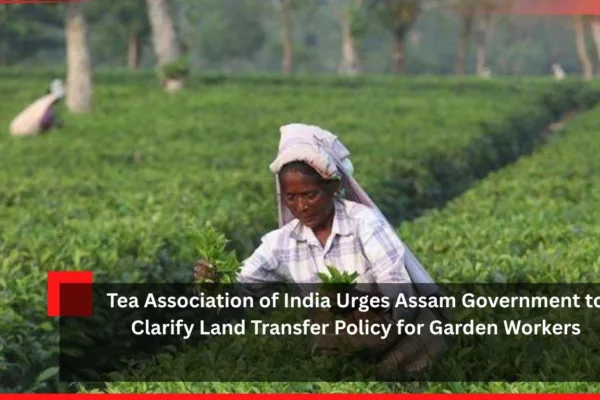 Tea Association of India