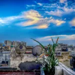 Sri Lanka Cricket Appoints Transformation Committee Led by Kumar Sangakkara