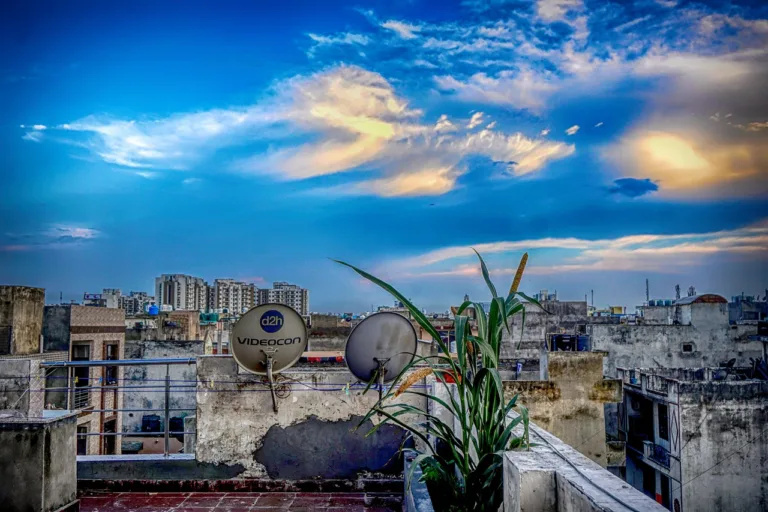 Sri Lanka Cricket Appoints Transformation Committee Led by Kumar Sangakkara