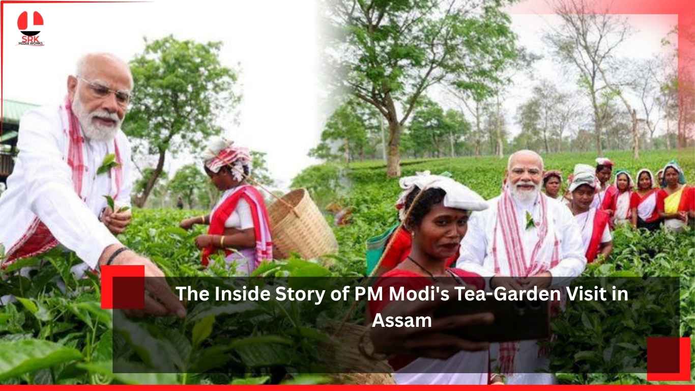 Tea-Garden