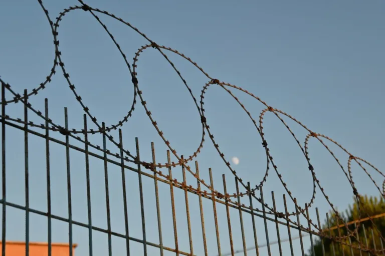 Amit Shah Announces Amnesty for Voluntary Exit of Illegal Migrants Amid Border Security Overhaul