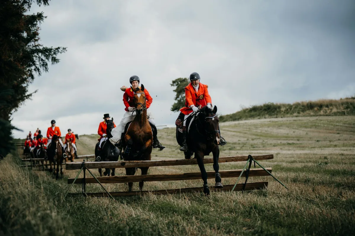 Beyond the Finish Line: Foxhounds Steal the Show at Iroquois Steeplechase