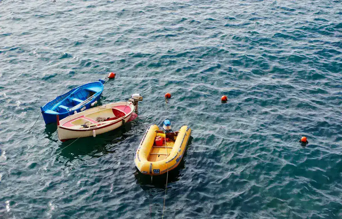 Chinese Dissident Completes Perilous 30-Hour Sea Escape to South Korea