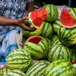 FSSAI Mandates Stricter Fruit Safety Checks Amidst Watermelon Health Scare