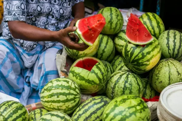 FSSAI Mandates Stricter Fruit Safety Checks Amidst Watermelon Health Scare