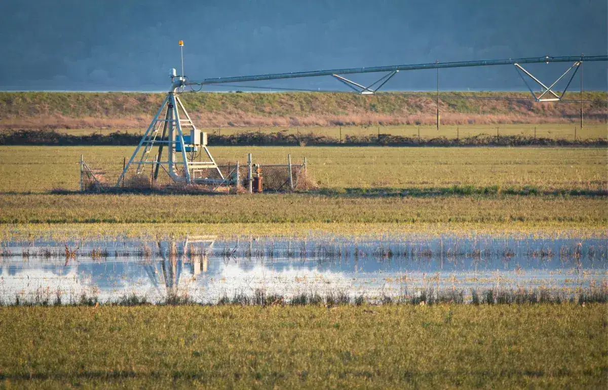 Hawaii's Agricultural Sector Faces Crisis After Record-Breaking Floods