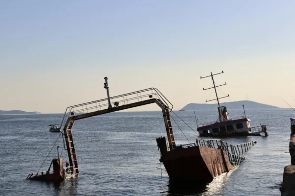 Indian-Flagged Vessel Sinks Following Attack in Gulf of Oman