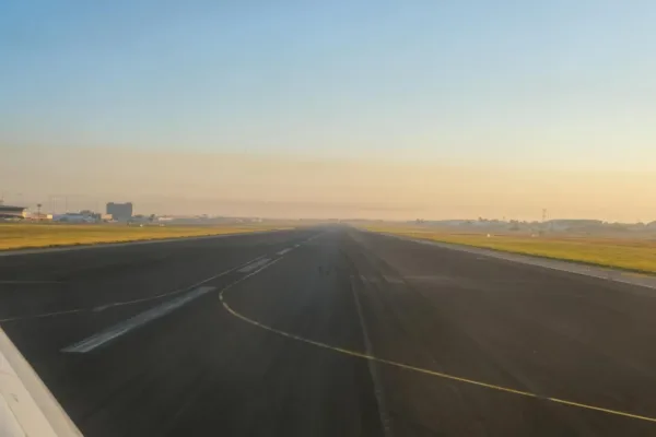 Monkeys on Runway Cause IndiGo Flight Abort in Lucknow, Sparking Delays and Safety Concerns