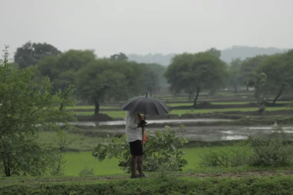 Monsoon Trends: Early Onset Meets El Niño Uncertainty in India