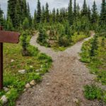 Navigating Debt: The Critical Distinction Between Asset-Building and Liability-Driven Loans
