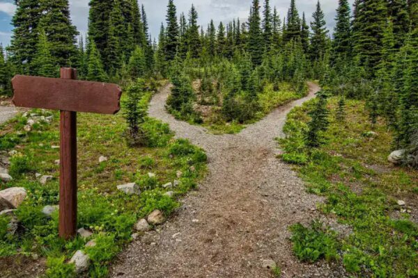 Navigating Debt: The Critical Distinction Between Asset-Building and Liability-Driven Loans