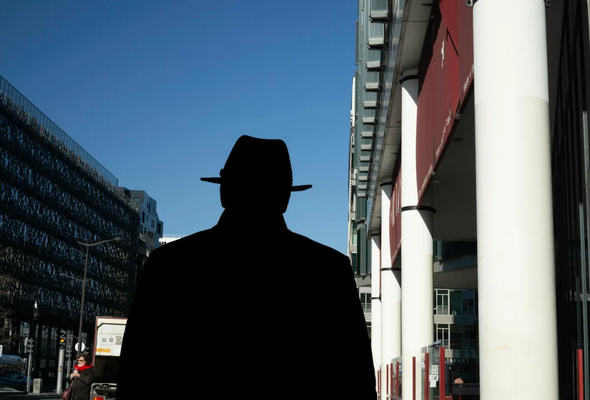Political Shadowing and Accountability: DNC Autopsy and Albany Controversies