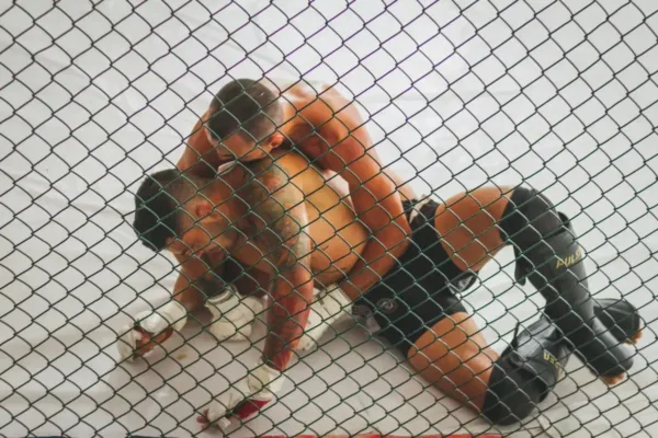 Ronda Rousey vs. Gina Carano: Analyzing the Outcome of the High-Profile MMA Exhibition