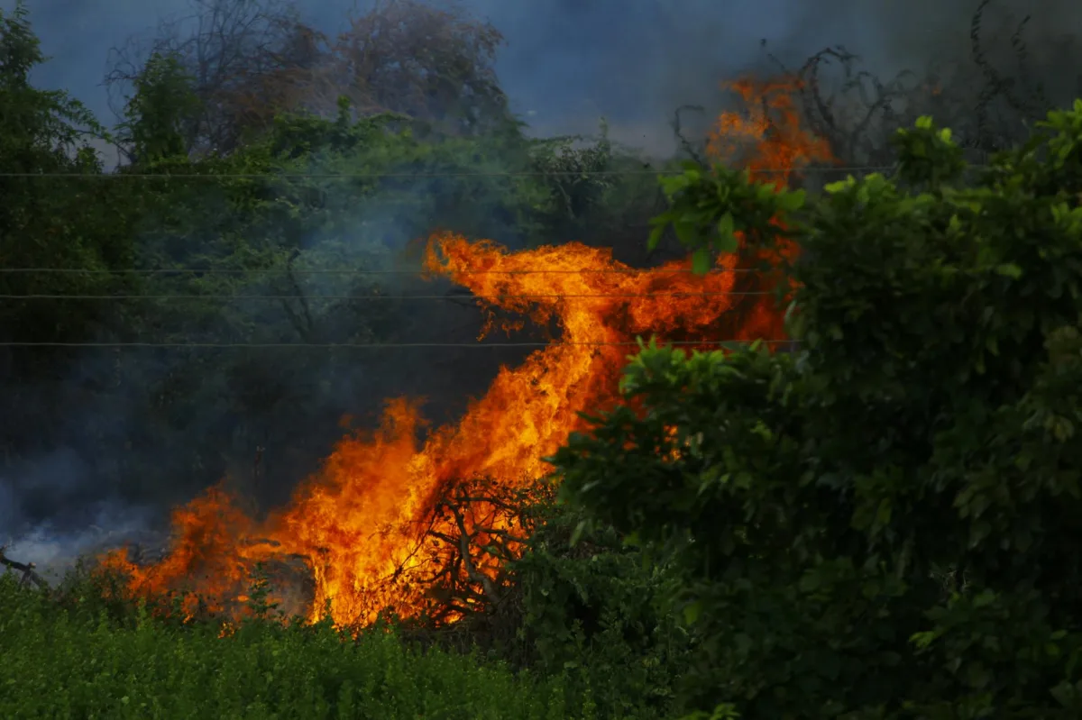 Severe Heatwave Grips North India as Temperatures Soar Toward 50°C