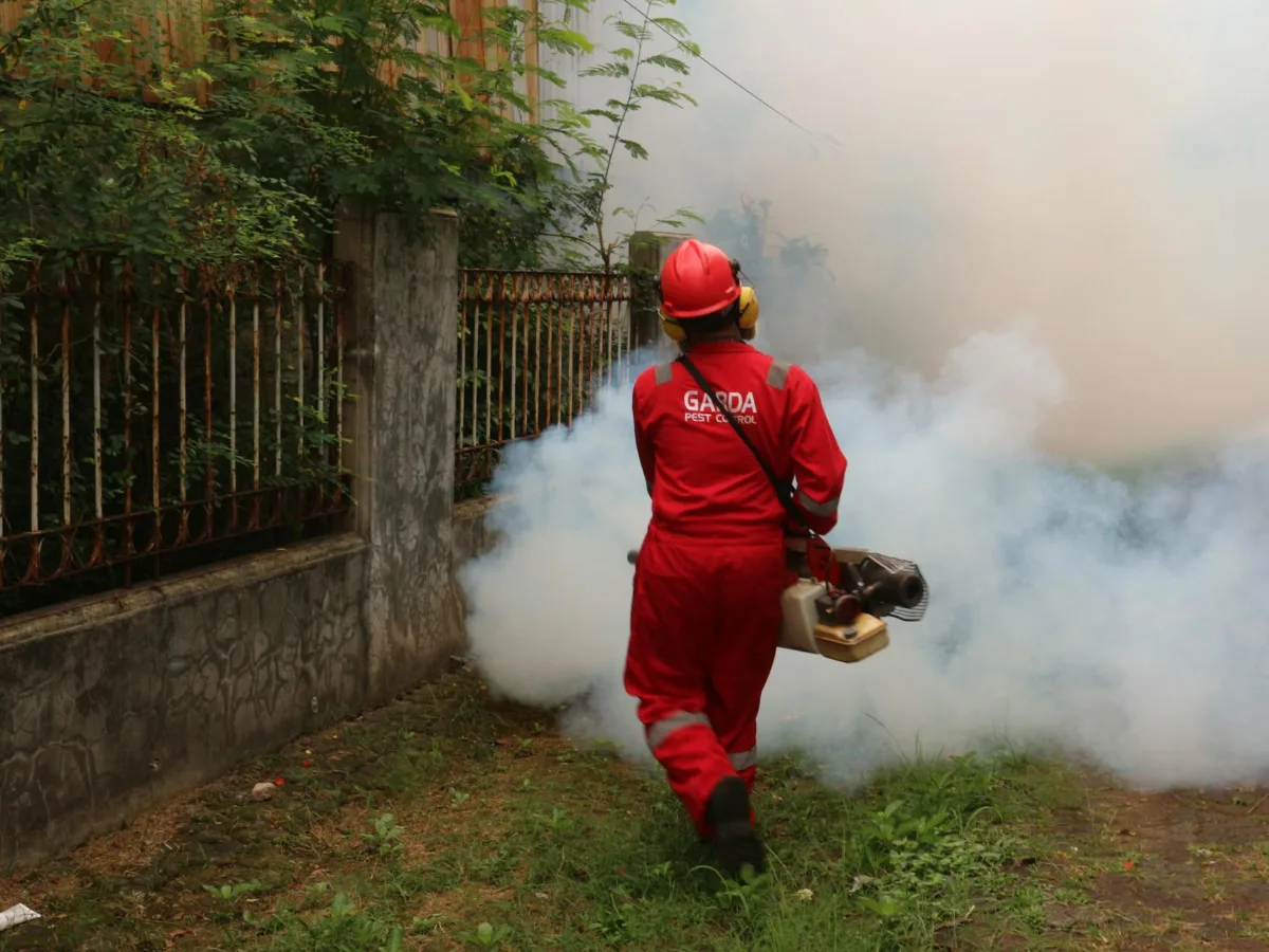 Sri Lanka Faces Escalating Dengue Crisis as Case Counts Surge