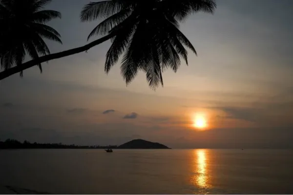 Survivor 51: Everything We Know About the Upcoming Season