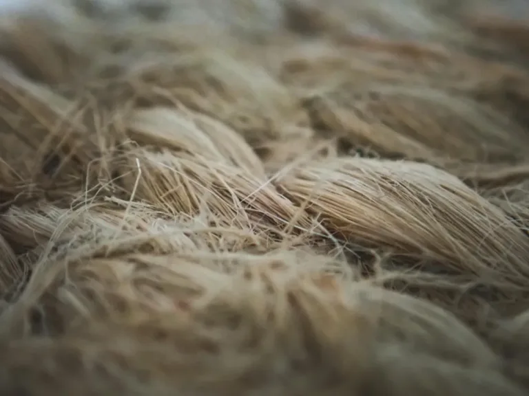 Synthetic Biology Leads to Recyclable Textiles: Engineered Protein Fibers for a Cleaner Future