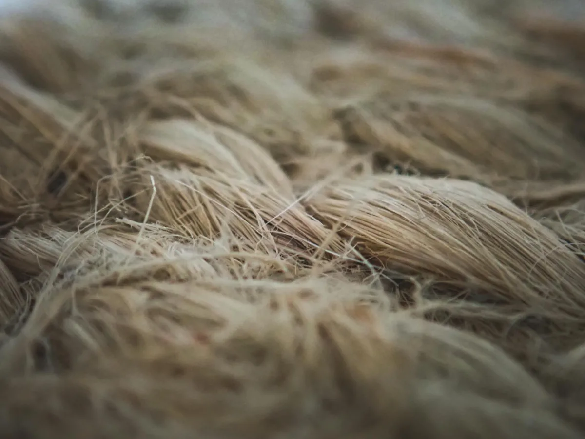 Synthetic Biology Leads to Recyclable Textiles: Engineered Protein Fibers for a Cleaner Future