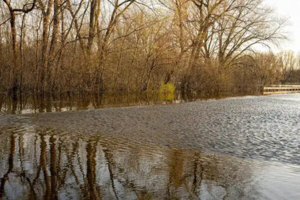 Texas Board Suspends Camp Mystic Director Over Flood Evacuation Failures