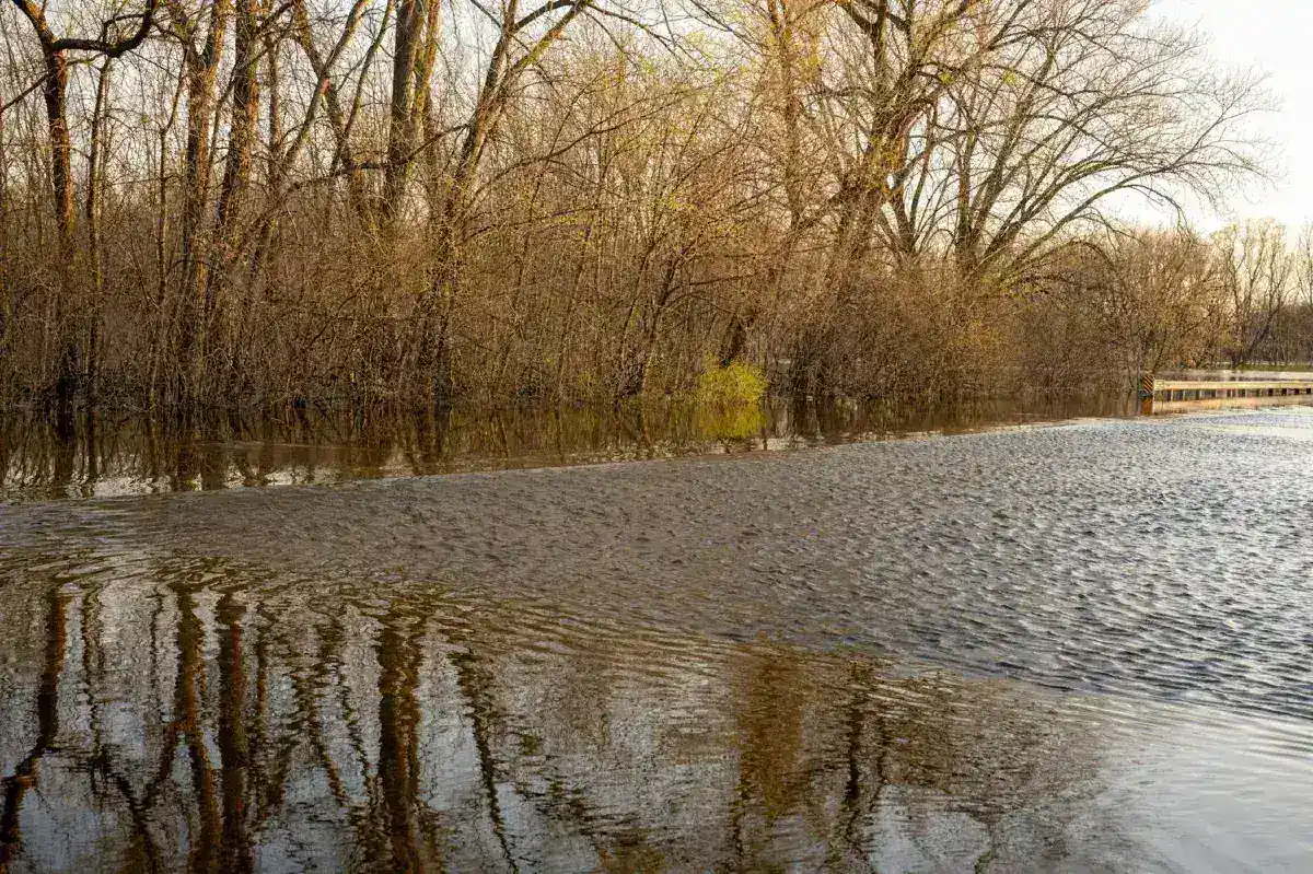 Texas Board Suspends Camp Mystic Director Over Flood Evacuation Failures