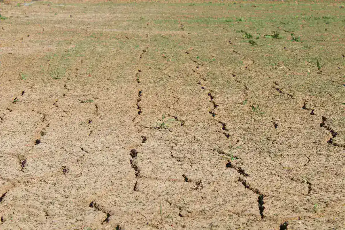 The Indian Ocean Dipole: Why India's Monsoon Faces Unprecedented Pressure This Year