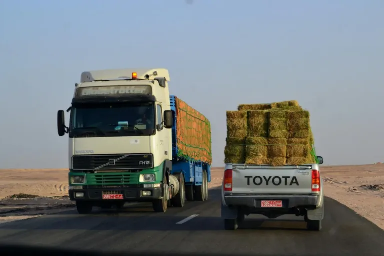 The Land Bridge: How Middle Eastern Logistics Are Bypassing the Strait of Hormuz