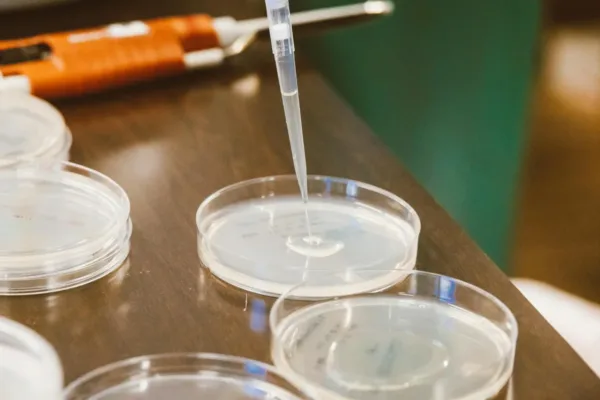 The Silent Pandemic: Global Health Leaders Urge Urgent Action on Antimicrobial Resistance