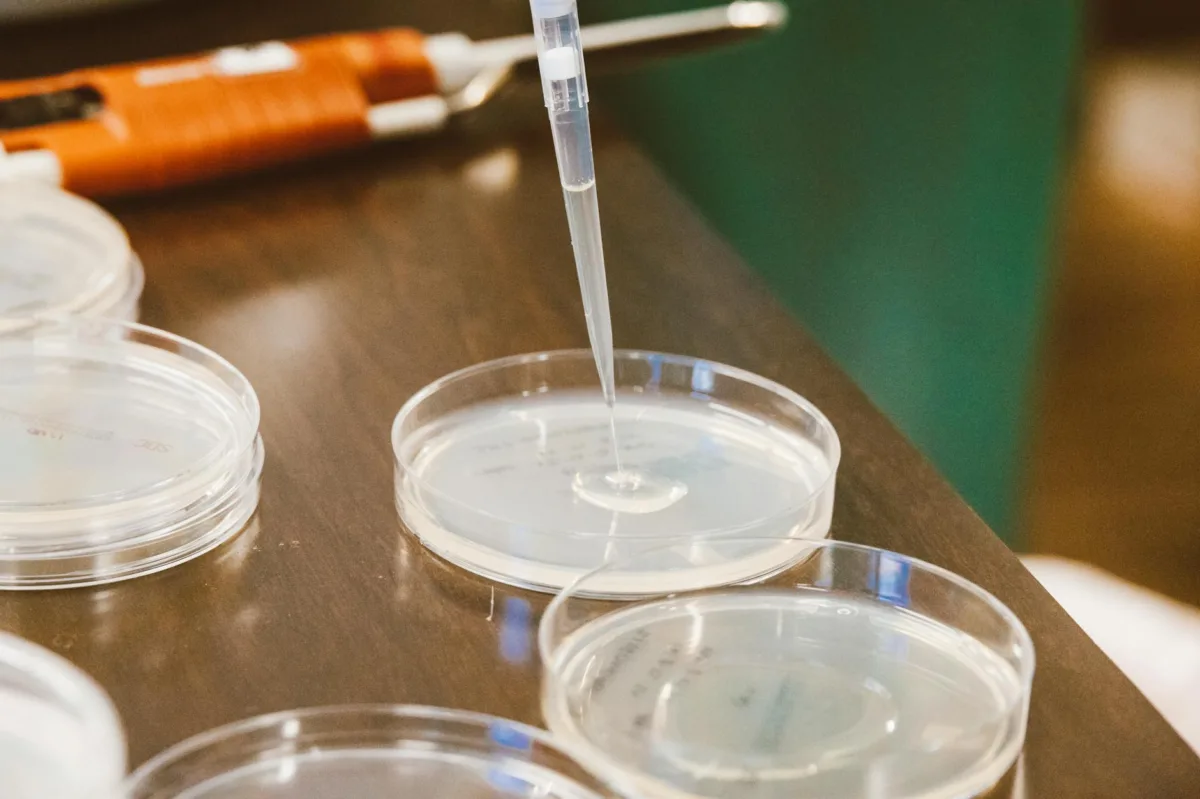 The Silent Pandemic: Global Health Leaders Urge Urgent Action on Antimicrobial Resistance