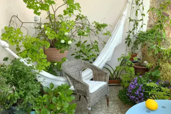 Urban Oasis: Transforming Terrace Gardens on a Budget