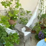 Urban Oasis on a Budget: Crafting Your Dream Terrace Garden