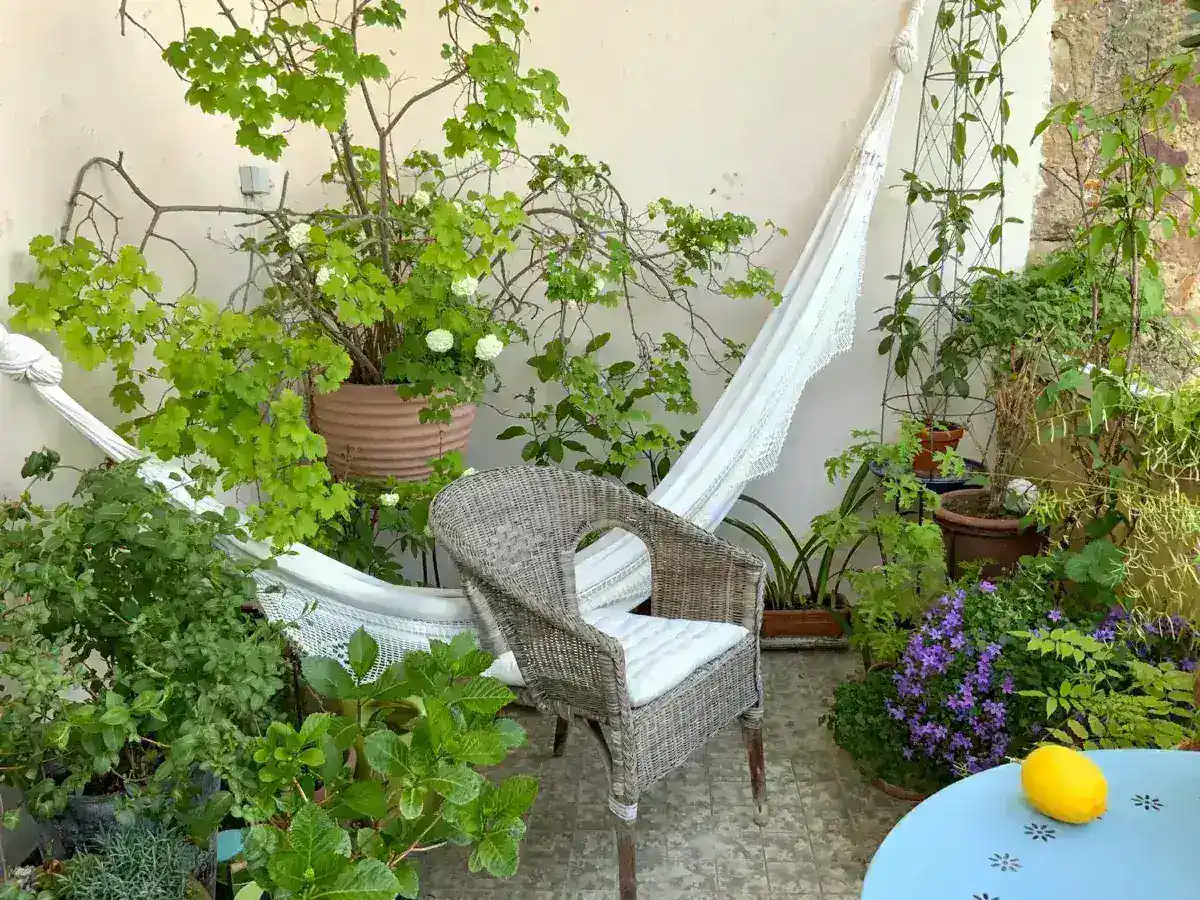Urban Oasis on a Budget: Crafting Your Dream Terrace Garden