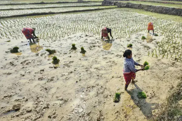 West Bengal Unveils Major Policy Shifts: BSF Land Transfer, Ayushman Bharat, and Women's Free Travel