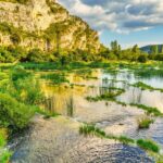 Fatal Alligator Attack in Florida River Sparks Safety Concerns