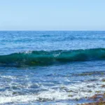 Global Climate Alert: WMO Warns of Imminent El Niño Impact