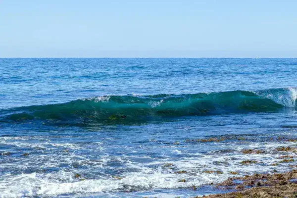 Global Climate Alert: WMO Warns of Imminent El Niño Impact