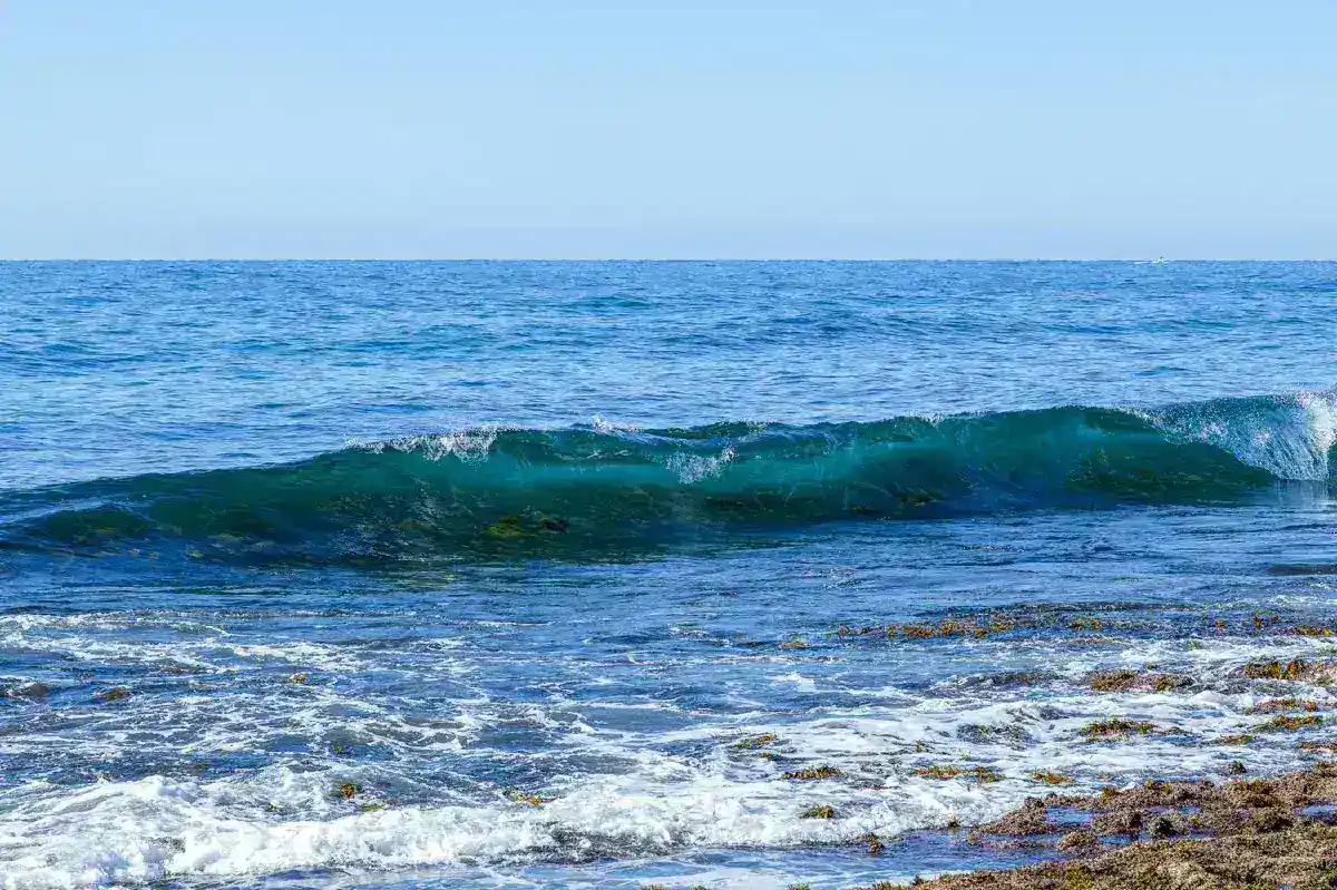 Global Climate Alert: WMO Warns of Imminent El Niño Impact