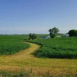Iowa Democrats See Opening for Statewide Gains Amid Economic Headwinds