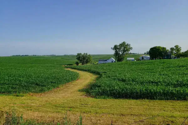 Iowa Democrats See Opening for Statewide Gains Amid Economic Headwinds