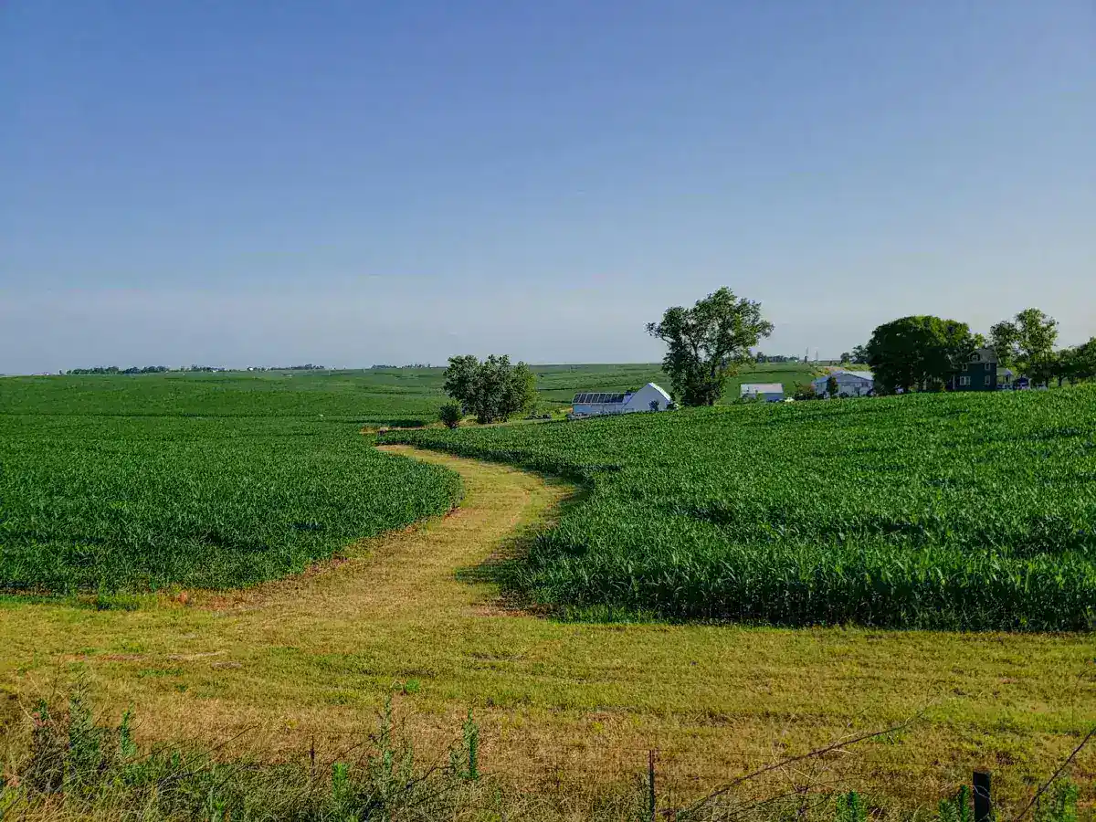 Iowa Democrats See Opening for Statewide Gains Amid Economic Headwinds