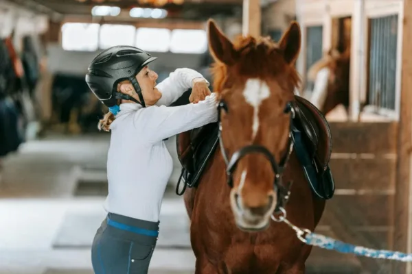Las Vegas Teen Arrested Following Targeted Attack on Competition Horses