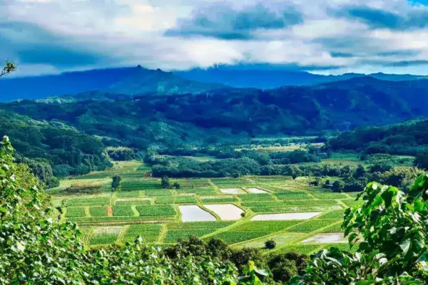 Legal Challenge Targets Native Hawaiian Blood Quantum Requirements for Homestead Leases