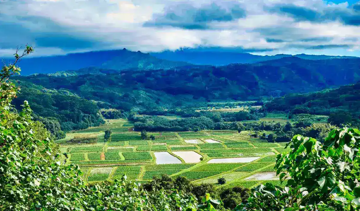 Legal Challenge Targets Native Hawaiian Blood Quantum Requirements for Homestead Leases