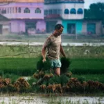 Southwest Monsoon Reaches Kerala, Signaling Start of India's Crucial Rainy Season