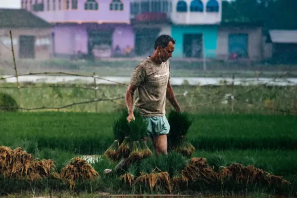 Southwest Monsoon Reaches Kerala, Signaling Start of India's Crucial Rainy Season